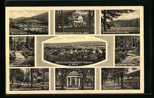 AK Seesen a. Harz, Gasthaus Grüner Jäger, Ortsansicht, Partie an der Schildau