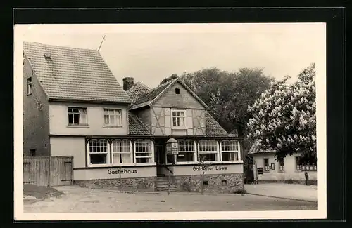 AK Neudorf /Harz, Gästehaus Goldener Löwe