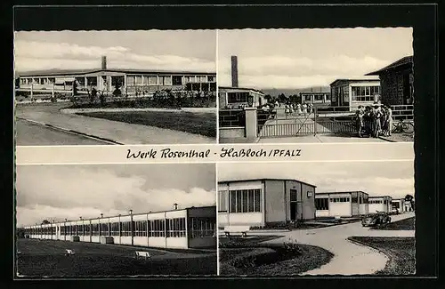 AK Hassloch / Pfalz, Werk Rosenthal