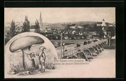 AK Dingolfing, Totalansicht mit Kirche, Pilz mit Briefkasten und Zwerg