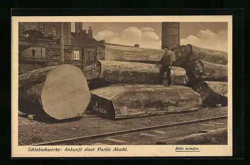 AK Hamburg-Wilhelmsburg, Schlobachwerke, Ankuft einer Partie Abachi