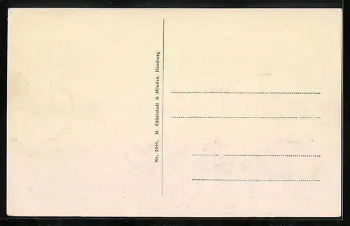 AK Sülze i. Meckl., Ansicht des Kurhauses