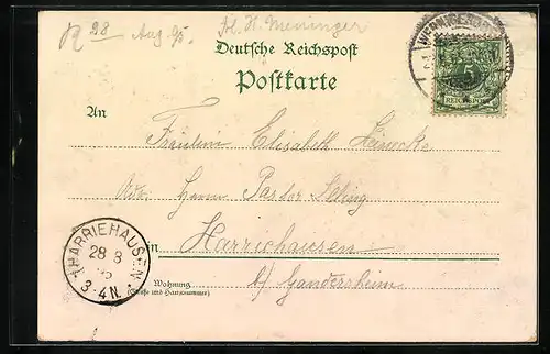 Vorläufer-Lithographie Wernigerode, 1895, Schlossansicht, Rathaus, Steinerne Renne, Totalansicht