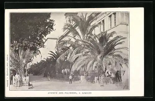 AK Ajaccio, Avenue des Palmiers
