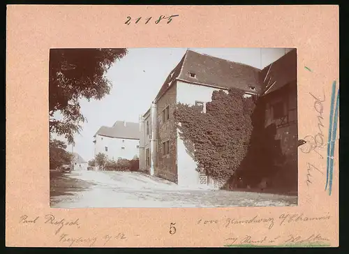 Fotografie Brück & Sohn Meissen, Ansicht Freyburg a. U., Partie am Schloss Neuenburg