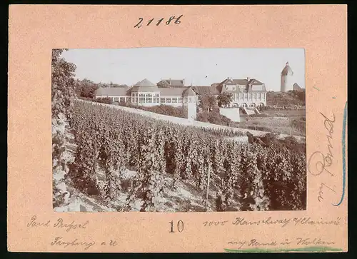 Fotografie Brück & Sohn Meissen, Ansicht Freyburg a. U., Blick auf das Hotel Edelacker