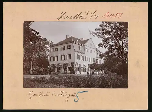 Fotografie Brück & Sohn Meissen, Ansicht Zwethau, Blick auf ein Herrenhaus mit Kutscher und Kutsche