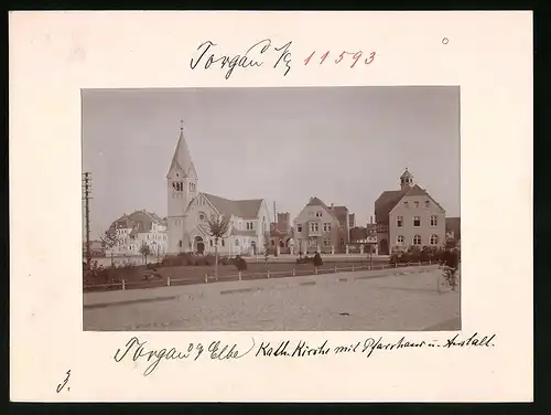 Fotografie Brück & Sohn Meissen, Ansicht Torgau a. Elbe, Blick auf die Katholische Kirche mit Pfarrhaus und Anstalt