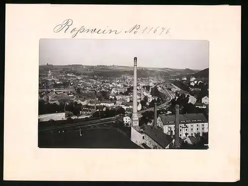 Fotografie Brück & Sohn Meissen, Ansicht Rosswein, Blick auf den Güterbahnhof mit Wagenfeder Fabrik Carl Wolff