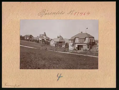 Fotografie Brück & Sohn Meissen, Ansicht Bärenfels i. Erzg., Blick auf die Villen im Ort