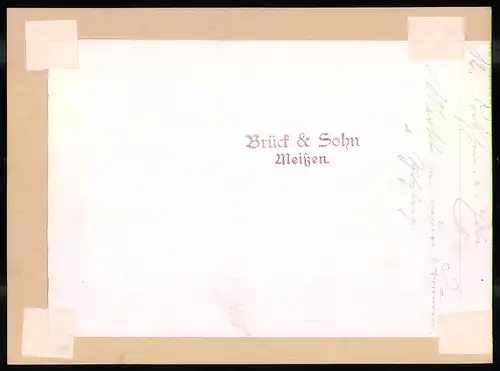 Fotografie Brück & Sohn Meissen, Ansicht Tetschen, Markt mit Apotheke, Geschäfte Bernard Steiner, Carl Heller, Brunnen