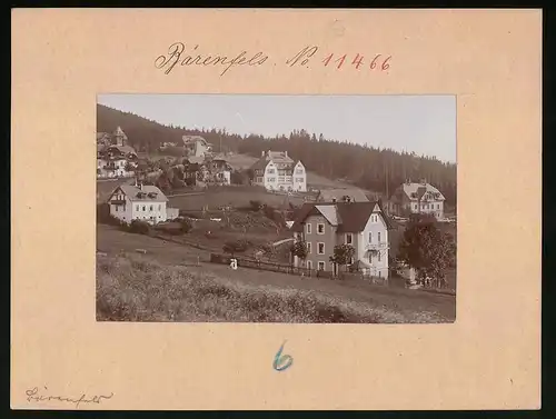 Fotografie Brück & Sohn Meissen, Ansicht Bärenfels, Villa am Ortsrand
