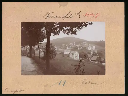 Fotografie Brück & Sohn Meissen, Ansicht Bärenfels, Ortschaft vom Waldweg gesehen