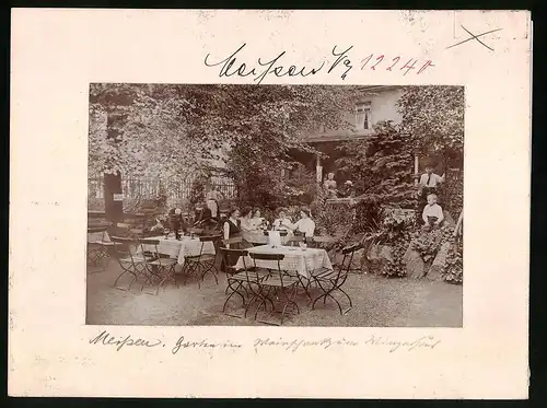 Fotografie Brück & Sohn Meissen, Ansicht Meissen i. Sa., Garten im Weinschank zum Winzerhaus