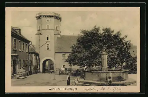 AK Wunsiedel i. Fichtelgeb., Brunnen vor dem Koppentor