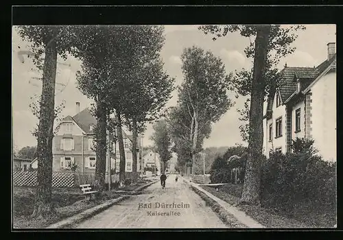 AK Bad Dürrheim, Kaiserallee mit Radfahrer
