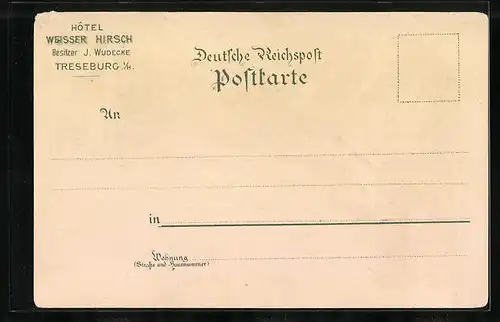 Lithographie Treseburg, Ortsansicht mit Hotel Weisser Hirsch, Wilhelmsblick, Pfeil-Denkmal