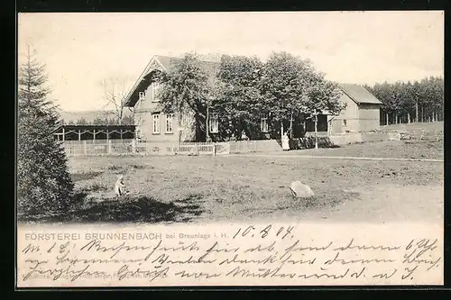 AK Braunlage i. H., Försterei Brunnenbach mit Wiese