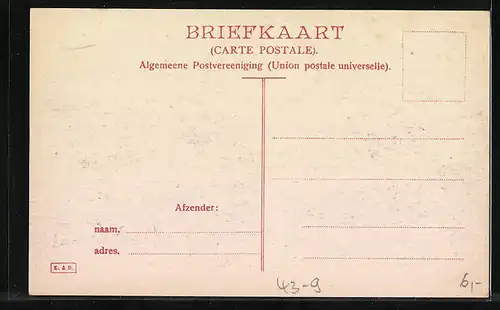 AK 25-jähriges Jubiläum des A. N. W. B. 1908 - Damen neben geschmücktem Schimmel