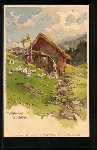 Künstler-AK Wildbad, Wassermühle, Gänsemagd