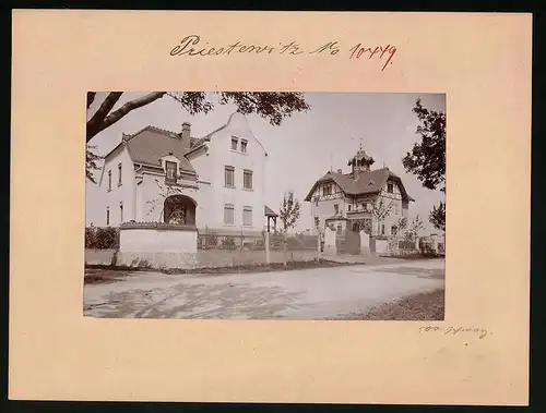 Fotografie Brück & Sohn Meissen, Ansicht Priestewitz, Strassenpartie mit Villen im Ort