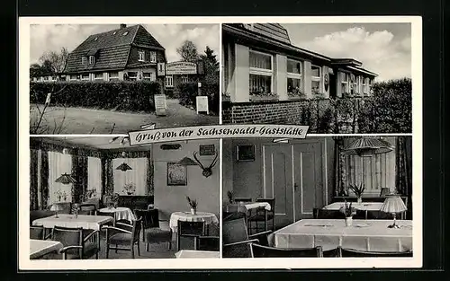 AK Hamburg-Bergedorf, Sachsenwald-Gaststätte - Gebäude und Innenansichten