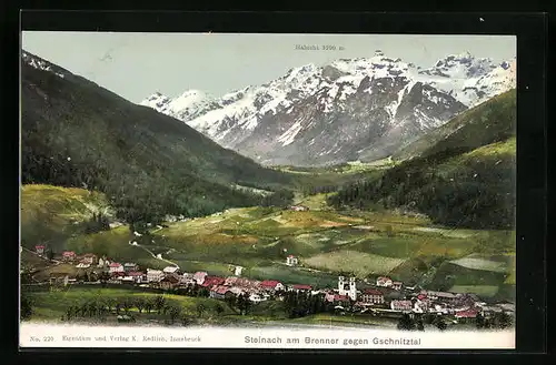 AK Steinach am Brenner, Teilansicht gegen Gschnitztal mit Habicht