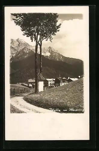 AK Waidring, Teilansicht von einem Wanderweg mit Wegkreuz aus