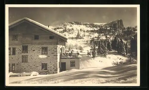 AK Waidring, Alpengasthaus Steinplatte im Schnee