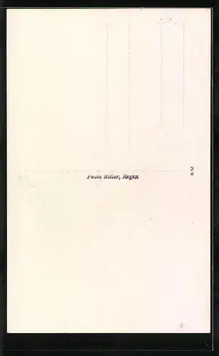 AK Regen im Bayr. Wald, Uferpartie mit Ortsansicht