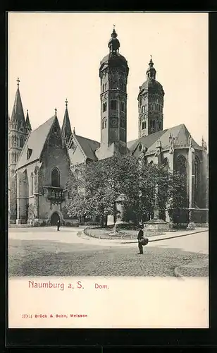 AK Naumburg a. S., Dom mit Vorplatz