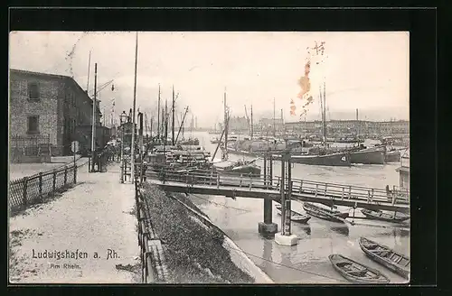 AK Ludwigshafen a. Rh., Uferpartie am Rheinhafen