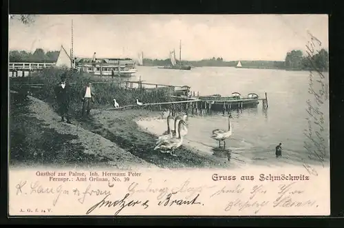 AK Berlin-Schmöckwitz, Gasthof zur Palme, Am Seeufer, Inh.: Hermann Peter