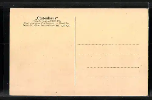 AK Stutenhaus /Thür. Wald, Ortspartie mit Frauenwald, Wurzelberg und Dürrewiese