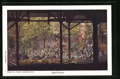 AK Oetigheim, Volksschauspiel, Apfelschuss