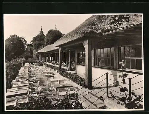 AK Langenburg, Schloss-Cafe im Rosengarten