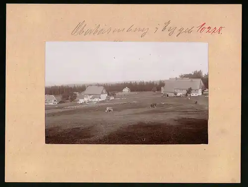 Fotografie Brück & Sohn Meissen, Ansicht Oberbärenburg, Gehöft am Ortsrand