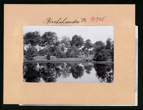 Fotografie Brück & Sohn Meissen, Ansicht Bischofswerda, Teich im Friedrich-August-Park