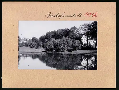 Fotografie Brück & Sohn Meissen, Ansicht Bischofswerda, Teichpartie im Friedrich-August-Park