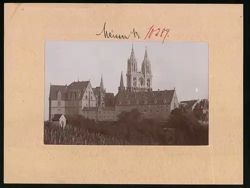 Fotografie Brück & Sohn Meissen, Ansicht Meissen i. Sa., Weinberg, Albrechtsberg & Dom
