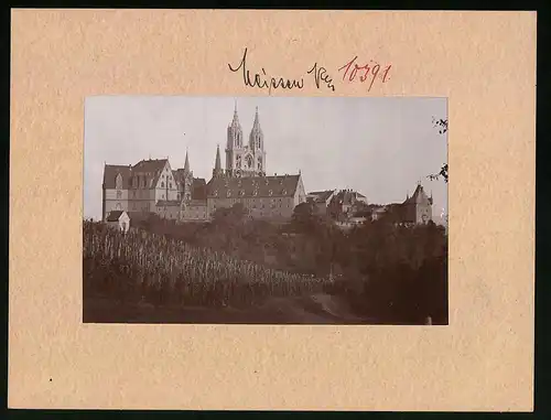 Fotografie Brück & Sohn Meissen, Ansicht Meissen i. Sa., Weinberg neben Albrechtsburg & Dom