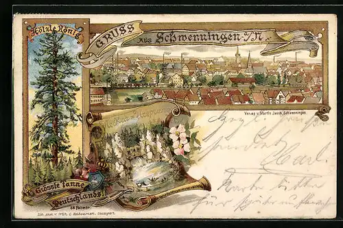Lithographie Schwenningen a. N., Teilansicht, Neckar-Ursprung, Hölzle König