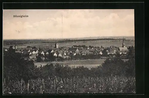 AK Bönnigheim, Ortsansicht mit Kirche