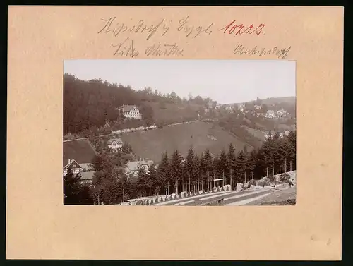 Fotografie Brück & Sohn Meissen, Ansicht Kipsdorf i. Erzg., Blick auf Villa Martha und Oberkipsdorf