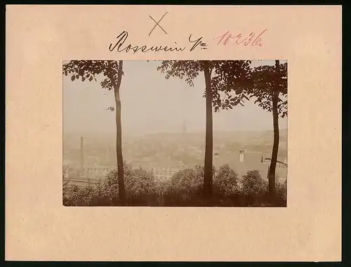 Fotografie Brück & Sohn Meissen, Ansicht Rosswein, Blick auf die Stadt mit Fabriken vom Hartenberg aus gesehen