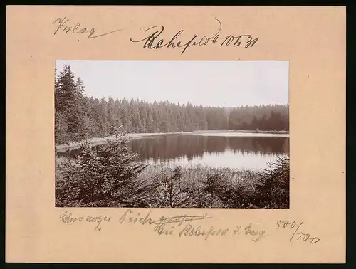 Fotografie Brück & Sohn Meissen, Ansicht Rehefeld i. Erzg., Blicka uf den Schwarzen Teich
