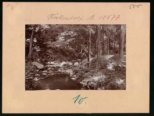 Fotografie Brück & Sohn Meissen, Ansicht Höckendorf, Waldpartie mit Bachlauf