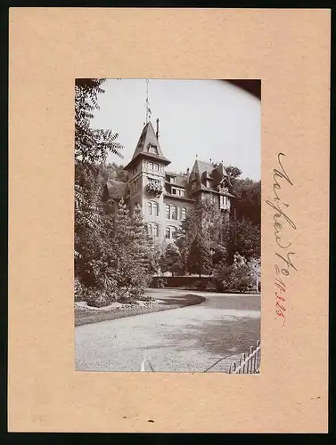 Fotografie Brück & Sohn Meissen, Ansicht Meissen i. Sa., Partie am Waldschlösschen, Blick von der Auffahrt
