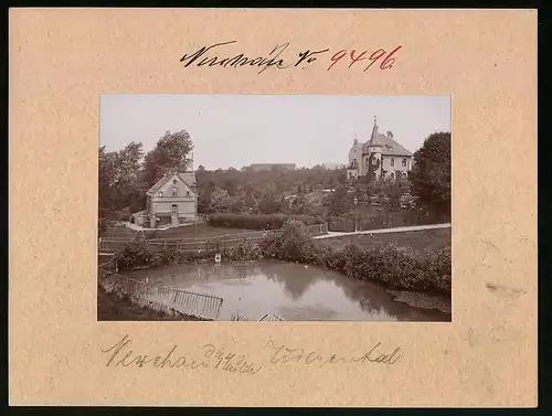 Fotografie Brück & Sohn Meissen, Ansicht Nerchau a. Mulde, Teich und Villa im Wiesenthal