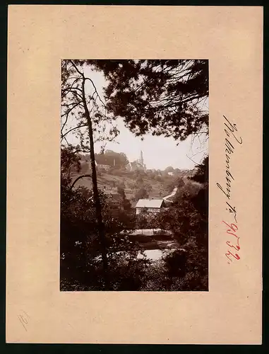 Fotografie Brück & Sohn Meissen, Ansicht Wolkenburg a. d. Mulde, Blick vom Wald auf den Ort